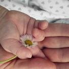 Colostrul – ce este si ce rol are?