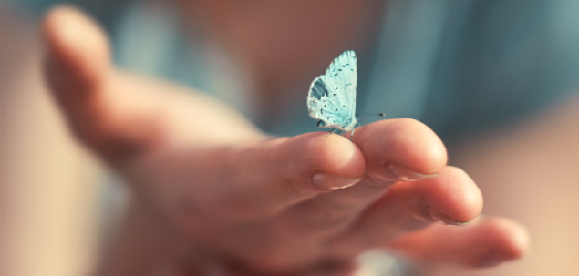 Ce iti transmite aceasta imagine?