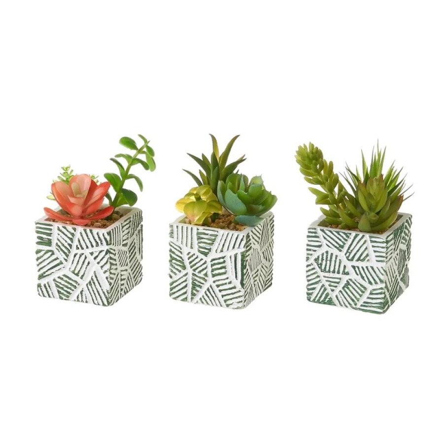 Plante artificiale 3 buc.  din colecția Cactus by Casă Selección, cu ghivece de flori realizate din ciment 