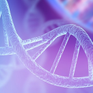 Cuvintele utilizate ne influențează ADN-ul