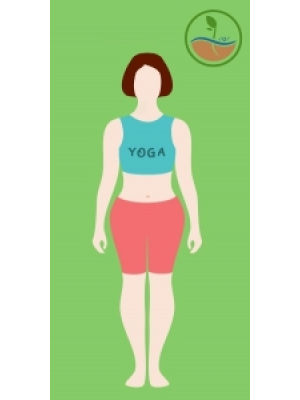 Corp plinut si tendinte de ingrasare.