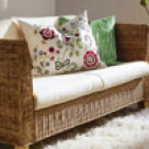 Prospetime si vitalitate in casa ta!