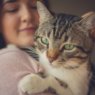 Studiu: 71% dintre români cred că viața lor s-a îmbunătățit de când au pisică