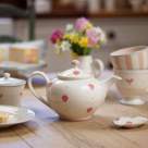 6 intrebuintari neobisnuite ale ceaiului