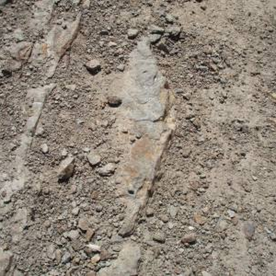 Cifra Destinului 2, 5 sau 8: Elementul reprezentativ PAMANT