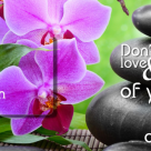 (P) Cadouri Cybex Gym