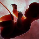 Ce face un bebe in burtica mamei sale timp de 9 luni de zile: vezi in doar 4 minute!