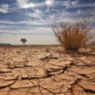 Cartea Apocalipsei. Scenarii pentru sfarsitul lumii