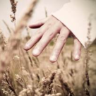 Terapia cu germeni de grau, elixirele asiatice ale sanatatii 