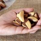 Ce cantitate de nuci braziliene este recomandată zilnic?