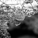 Într-o clipă de Suzanne Redfearn, o explorare a limitelor umanității într-un roman inspirat dintr-un caz real