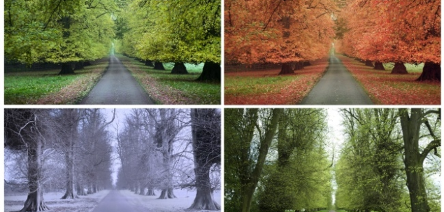 In ce anotimp te-ai nascut?