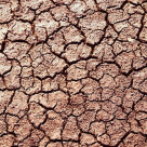 De azi am terminat resursele Pamantului si consumam din capitalul generatiilor viitoare