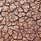 De azi am terminat resursele Pamantului si consumam din capitalul generatiilor viitoare