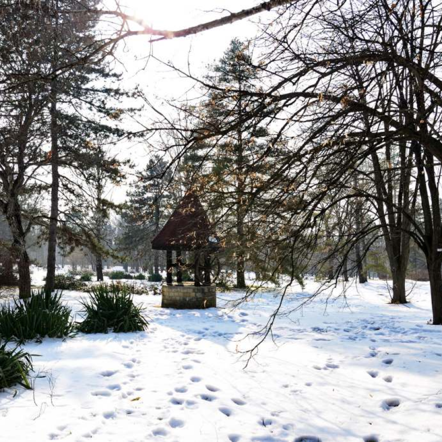 Iasi peisaj de iarna 