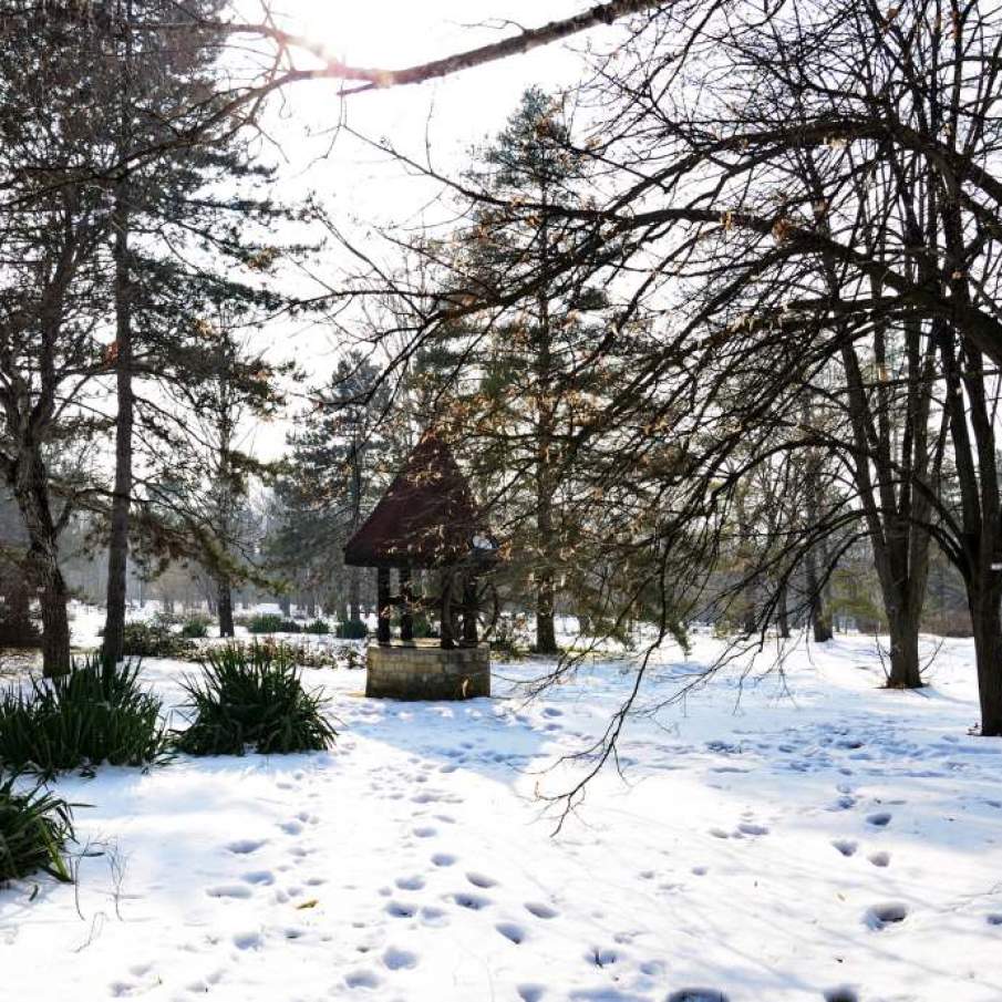 Iasi peisaj de iarna 