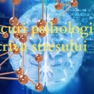 Te calmezi in mai putin de 15 minute: 17 siretlicuri psihologice exceptionale pentru a face fata stresului 