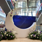 Călătorie EXTRAterestră la Sun Plaza, în Universul Florilor
