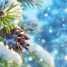 Playlist de Sarbatoare: 10 Melodii Romanesti folk cu si despre Craciun 