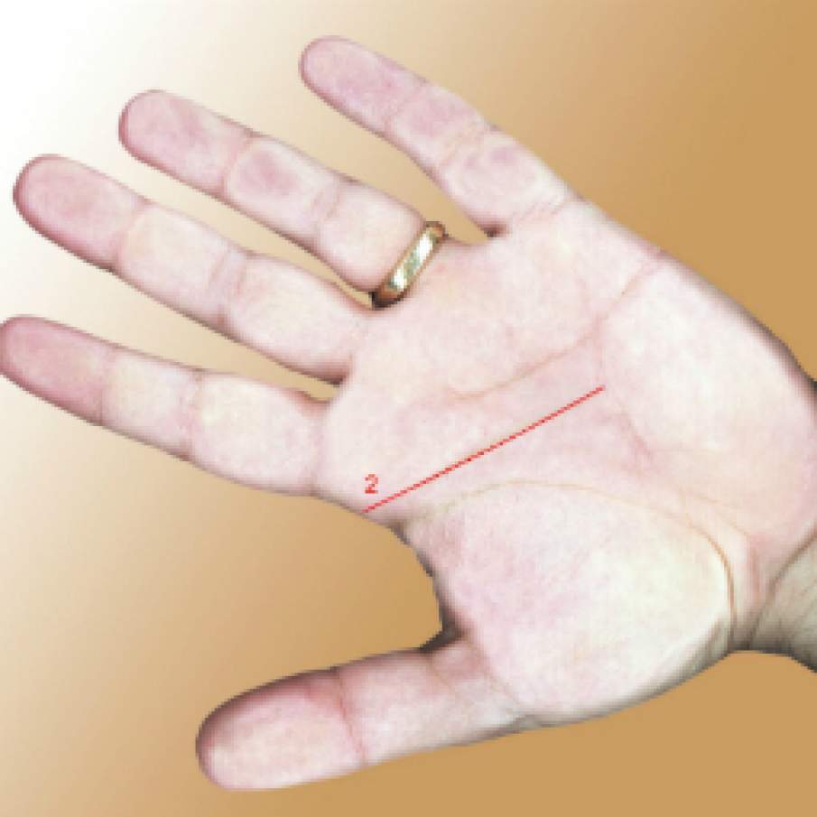 Linia capului: reprezinta inteligenta