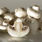 Retete delicioase de post cu ciupercute