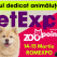 Noutățile din universul dedicat animalelor de companie doar pe 14-15 martie la PetExpo România 2026