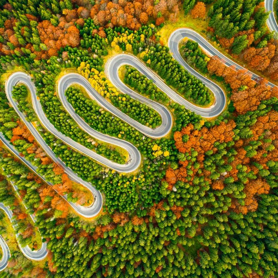 Drum serpuitor prin padure 