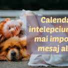 Calendarul intelepciunii: 7 citate inspirationale pentru fiecare zi a saptamanii