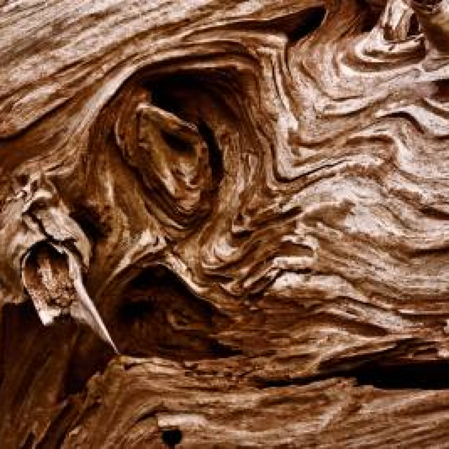 Cifra Destinului 3 sau 4: Elementul reprezentativ LEMN