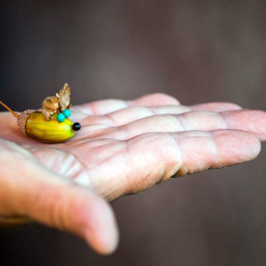 Soricelul din ghinda 