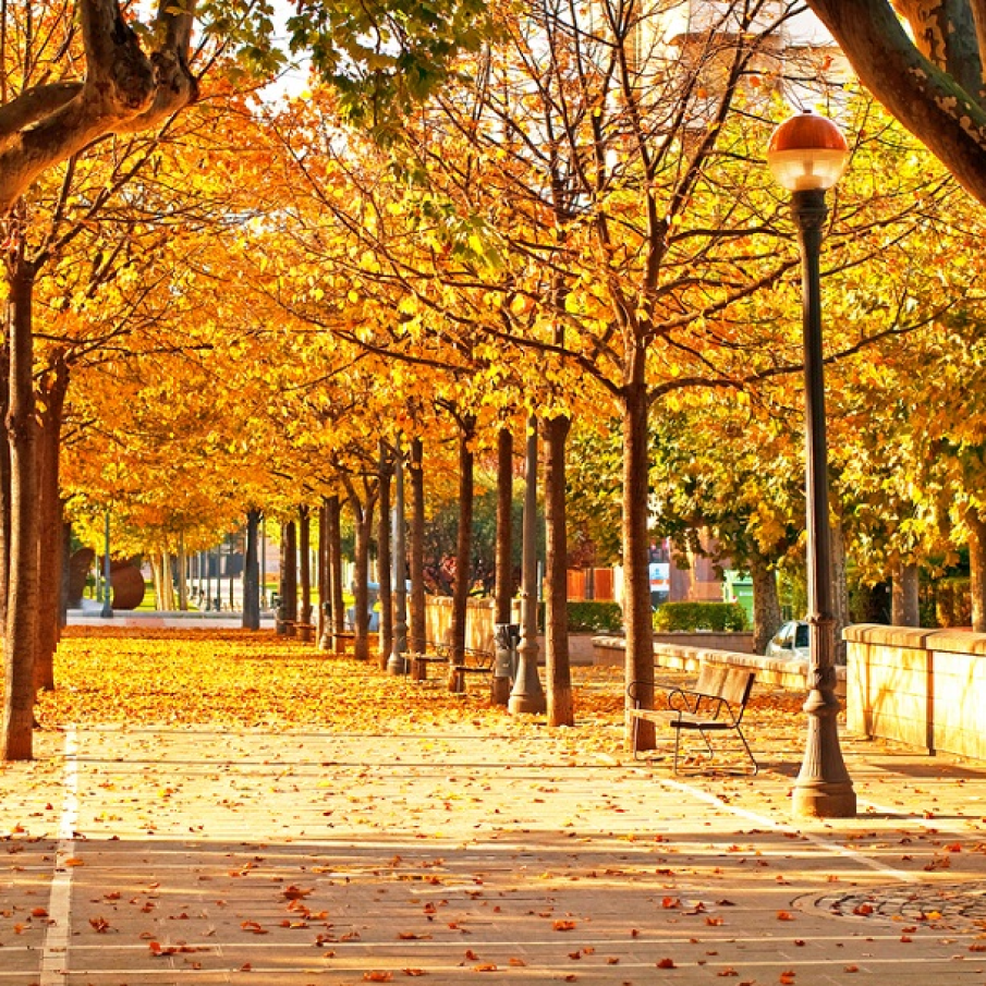 Lumini, culori si frunze pe aleile din Spania 