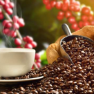 Bake a Coffee, locul unde te poti bucura de o cafea de specialitate alaturi de un dulce homemade