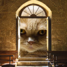 Zodiacul necuvantatoarelor: Adevarul astrologic despre animalul tau de companie