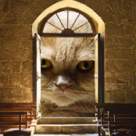 Zodiacul necuvantatoarelor: Adevarul astrologic despre animalul tau de companie