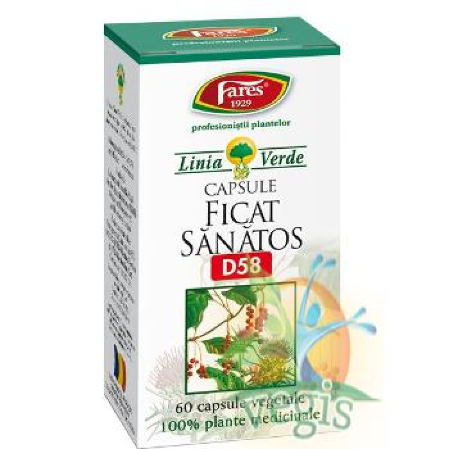 Ficat Sanatos