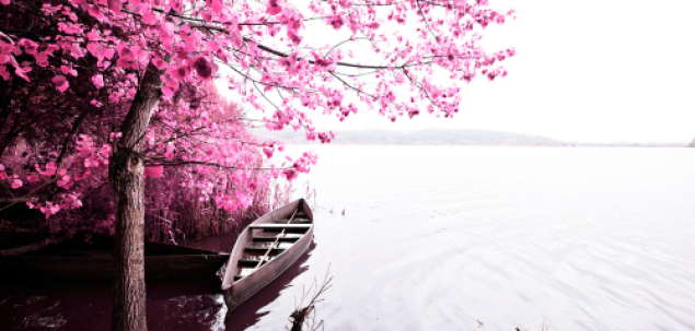 Unde te duce cu gandul aceasta imagine?