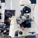 Centrul de fertilitate Polisano Sibiu realizeaza proceduri gratuite in cadrul Programului de fertilizare in vitro al MS