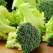 Broccoli - superalimentul sanatatii si al detoxifierii! 10+ motive ca sa consumi leguma minune