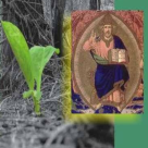 Retete biblice de tratamente naturiste. Hrana vietii