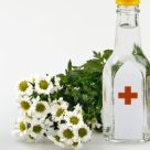 Top 3 ceaiuri traditionale romanesti pentru zona genitala