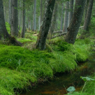 Recomandare: Expozitia de fotografie Principalele Ecosisteme ale Romaniei si bunurile pe care ni le ofera