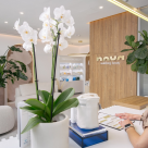 NOUA Clinic, tehnologie și expertiză pentru redefinirea frumuseții naturale