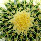 Uimitor: 80% dintre persoanele intre 15 si 59 de ani sunt afectate de fisuri anale