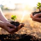 Începe o călătorie de 30.000 km pentru a salva solul lumii - Următoarea oprire: România