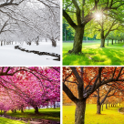 Cele 4 anotimpuri ale casniciei si ale iubirii: Relatia ta in ce etapa se afla? 