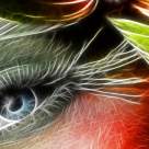 Puterea cuantica din TINE! Esti minte, spirit si trup