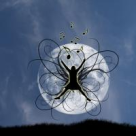 Cea mai buna trupa tribut Michael Jackson in Bucuresti!