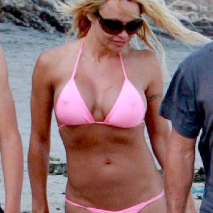 Pamela Anderson  (42)
