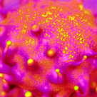 Limfomul: 5 lucruri importante despre aceasta forma de cancer 