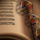 Longevitatea (si nu numai) se invata!